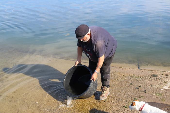 Ein Fischer setzt Jungfische am Ufer eines Baggersees ein