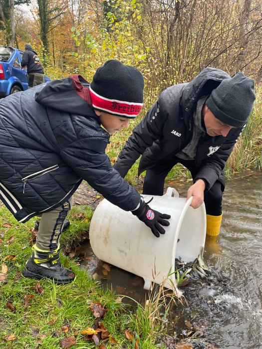 Ein Junge und ein Fischer setzen Jungfische aus einem Eimer in den Bach